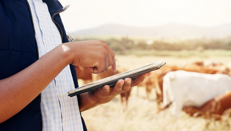 agriculteur qui regarde une tablette