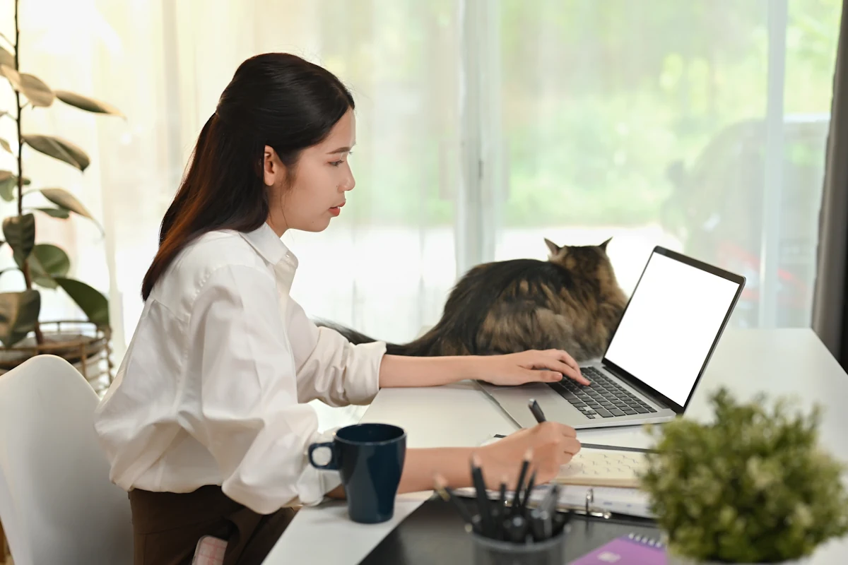Une femme qui travaille depuis un bureau à côté d'un chat